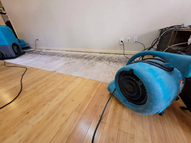 Professional Sewage Cleanup technician working in Wendell, ID